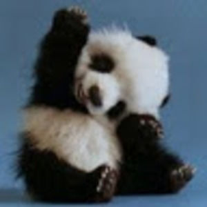 Meet your Posher, Amelia